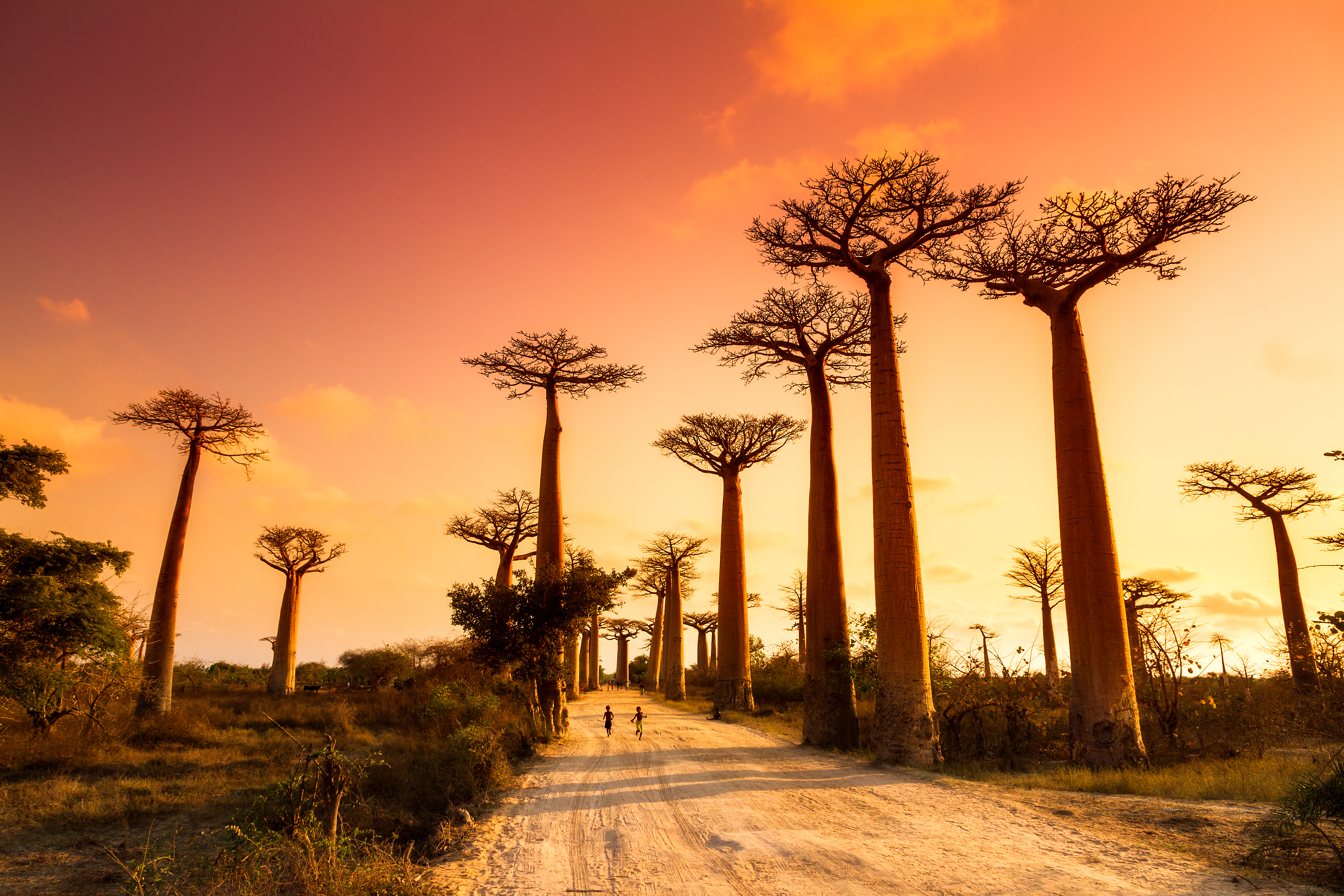Мадагаскар красивые фото