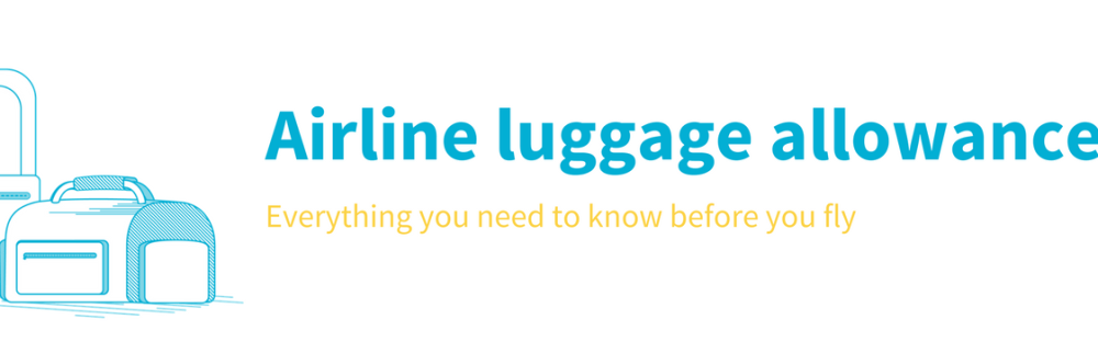 airline baggage allowances and information from skyscanner