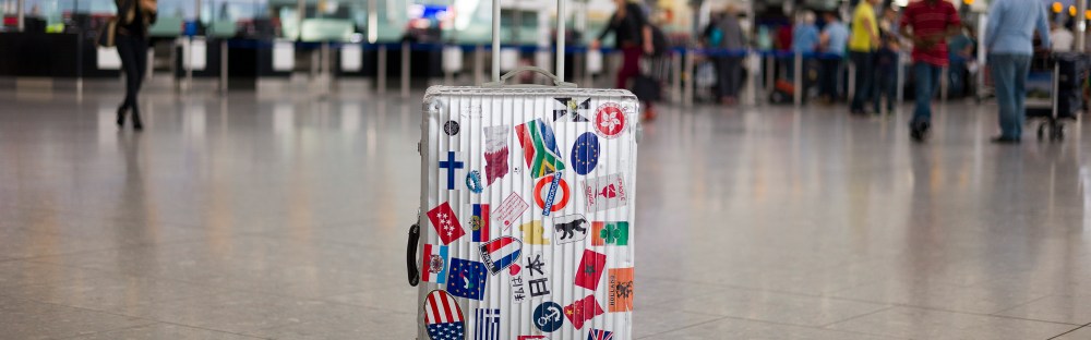 IndiGo baggage allowance: A detailed guide for flyers - Skyscanner India