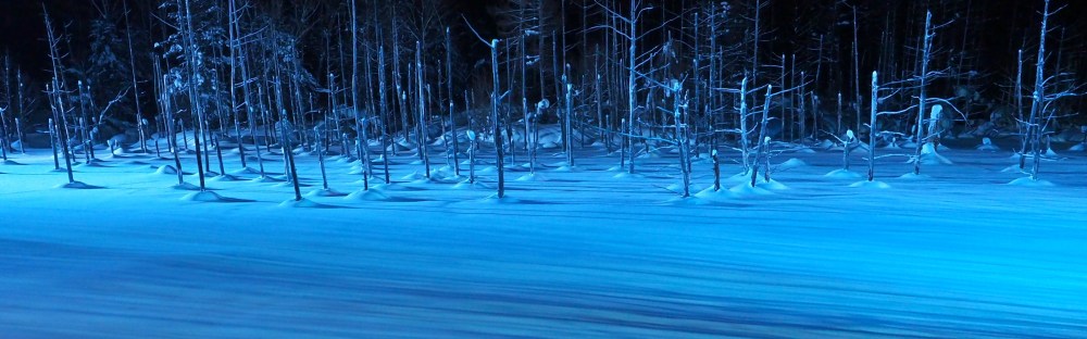 北海道美瑛町 青い池のライトアップが織りなす冬限定の絶景 スカイスキャナー