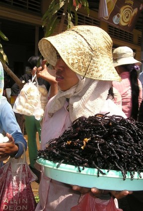 I 20 Cibi più disgustosi del Mondo