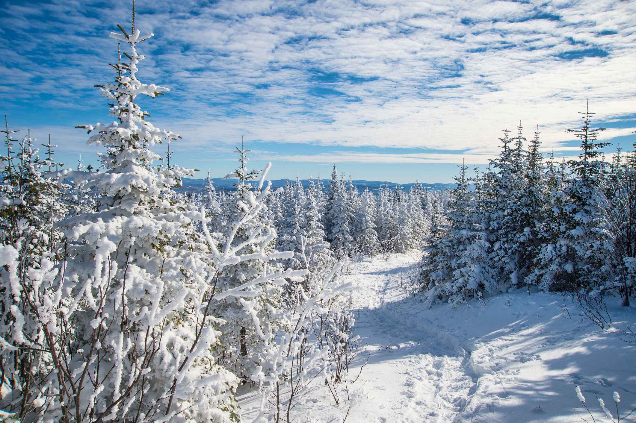 the-8-best-winter-festivals-in-canada-skyscanner-canada