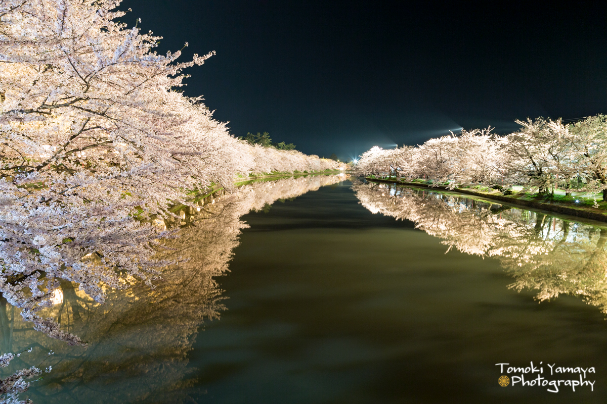 桜の絶景といえばここ 100周年の 弘前さくらまつり18 スカイスキャナー
