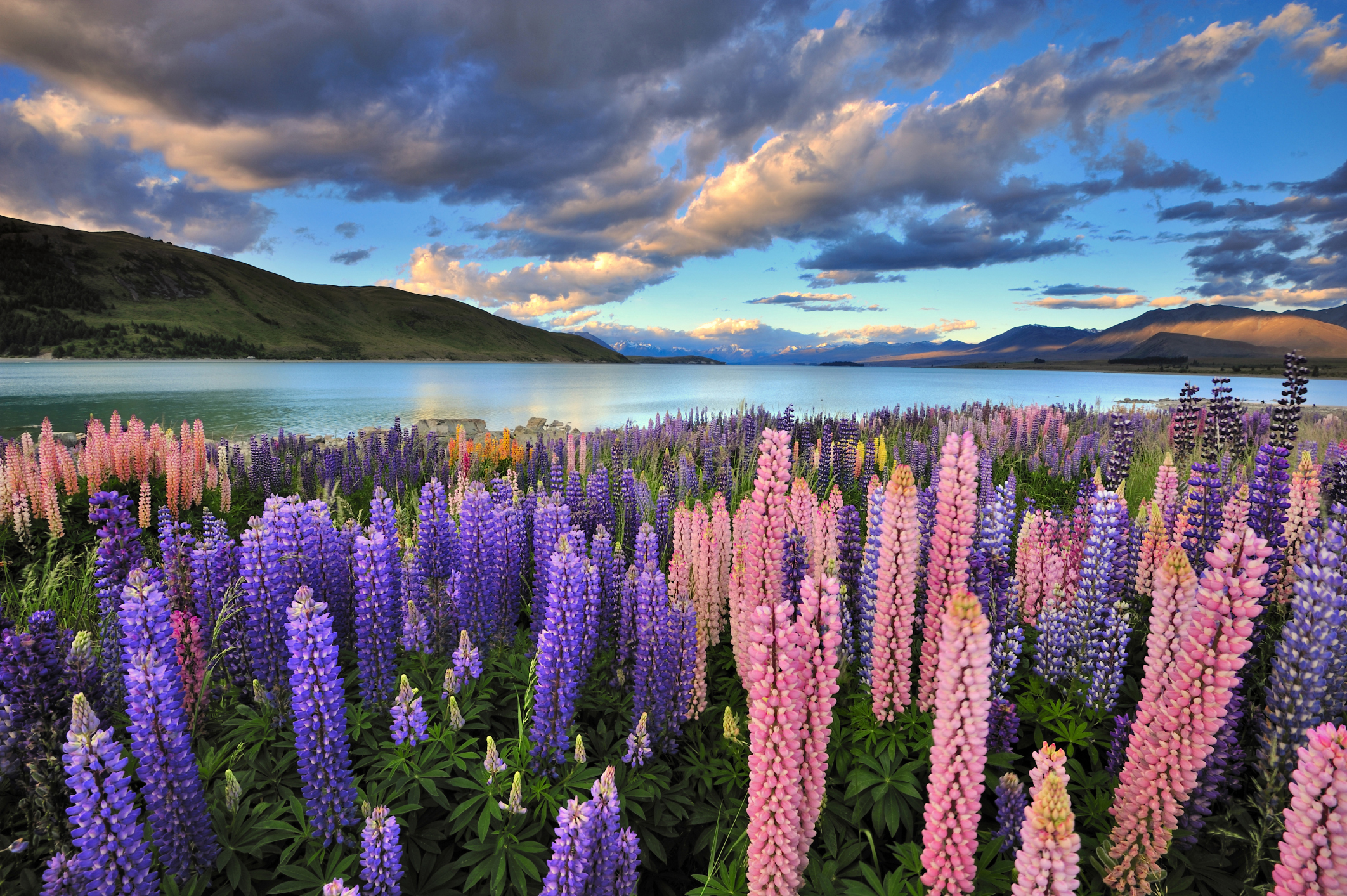 Lake Tekapo New Zealand Jpg