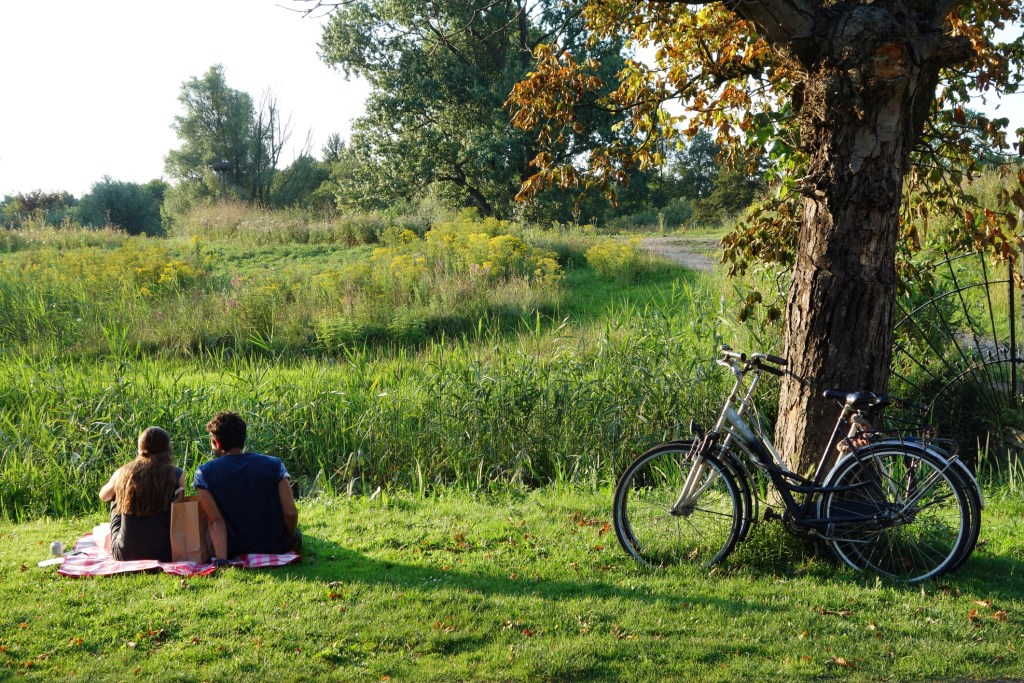 Парк Вондела, Vondelpark, — зеленый оазис по-амстердамски