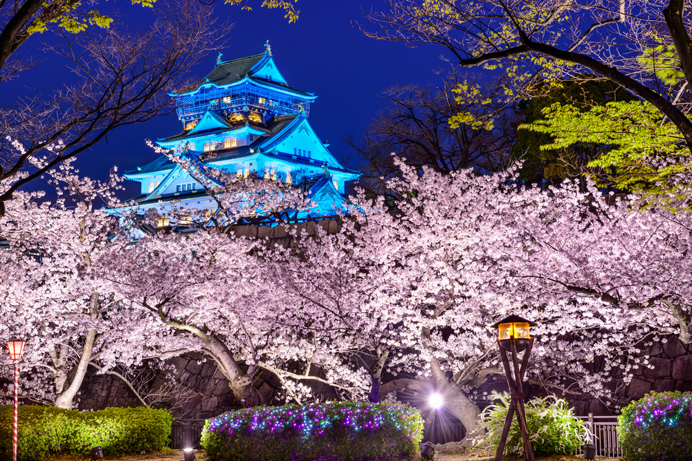 When and where to see cherry blossoms in Osaka this Sakura season
