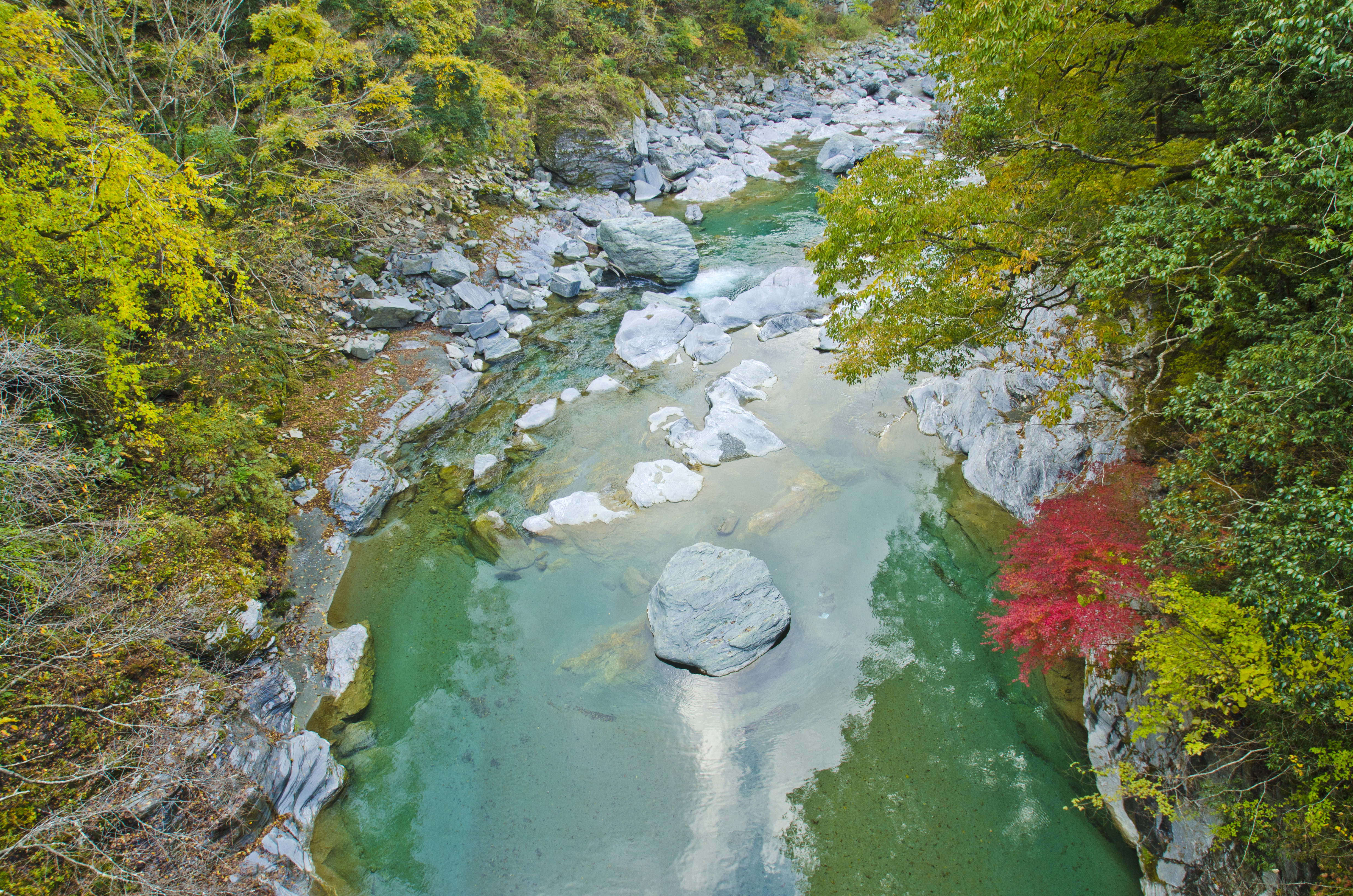 渓谷と紅葉が織り成す絶景 日本三大秘境 祖谷渓と大歩危 小歩危の魅力 スカイスキャナー