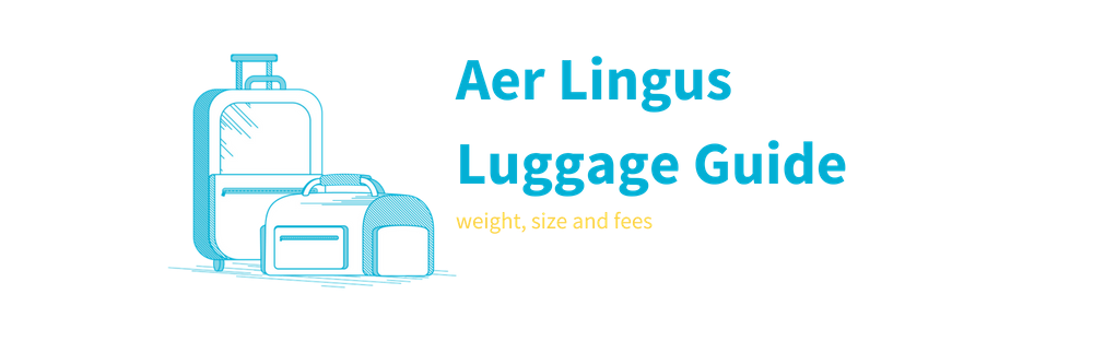 aer lingus travel inquiry form