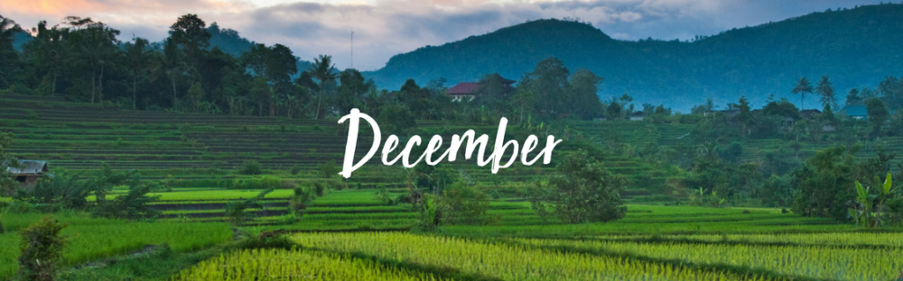 where-to-go-on-vacation-in-december-skyscanner-india