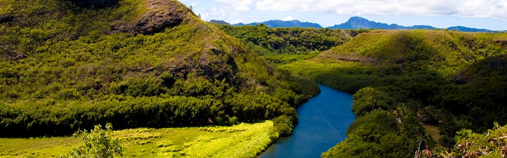 Unduh 430 Gambar Flora Dan Fauna Aceh Terbaik HD